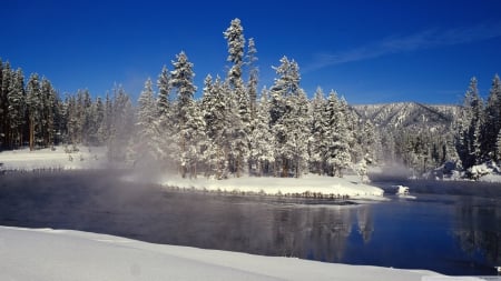 Snowy fir trees - pine, stream, water, mist, reflection, river, tree, scene, landscape, winter, wallpaper, hd, nature, fir, forest, snow, fog