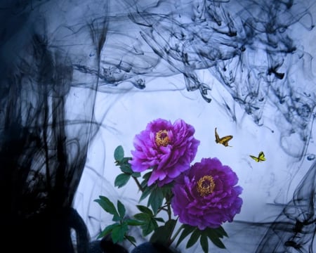 Beautiful flowers - flowers, smokey, purple, butterfly