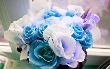 Beautiful flowers - flowers, roses, white, blue, peals