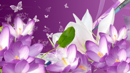 Pretty Pink Flowers - crocus, magenta, blooms, summer, spring, purple, pink, blossom, leaves, flowers, butterflies, lavender