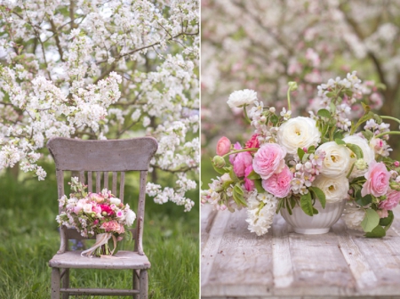 Spring collage - nature, collage, flowers, still life, garden, spring