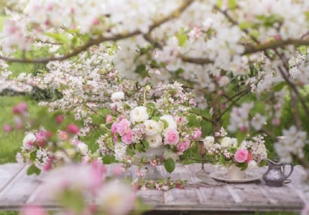 Apple blossoms - nature, table, flowers, apple blossoms, still life, garden, spring