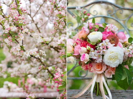 apple blossoms diptych