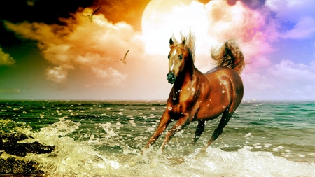 Arabian Horse - clouds, water, artwork, sea, sky