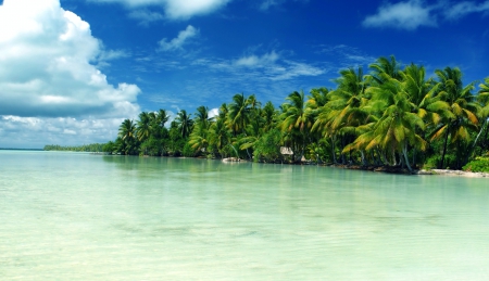 Beautiful Island - blue, clouds, palms, lagoon, water, green, marakei