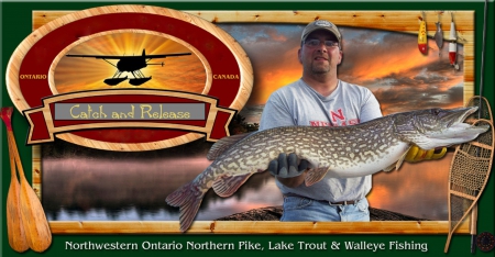 ~~; Catch and Release ;~~ - natural resources, Northern pike, fishing, Ontario