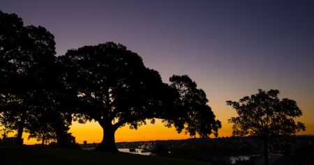 Quiet sunset - sky, sunset, sun, oak