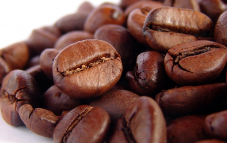 Coffee Beans - brown, coffee, beans, coffee bean, coffee beans