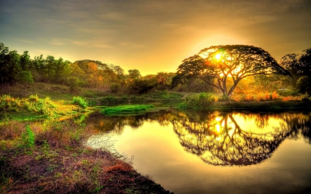 Sunset on a Pond - nature, sunset, pond, trees