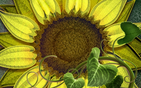 Sunflower - flower, sunflower, closeup, leaves