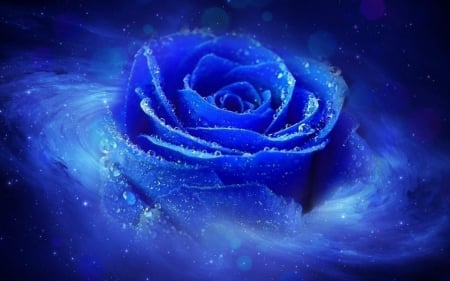 Blue rose