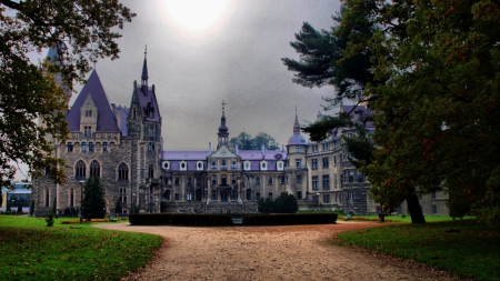 purple roof on moszna castle in poland - roof, purple, trees, overcast, castle, driveway