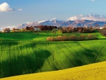 beautiful green fields in northern italy