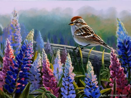 Lupin morning - bird, summer, beautiful, spring, morning, lovely, fence, flowers, sparrow, colorful, nature, painting, art, lupin