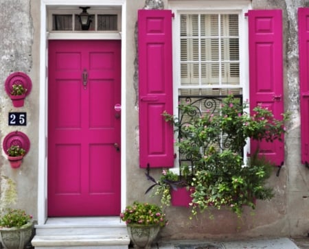 Door and Windows - windows, window, travel, door, pink, doors