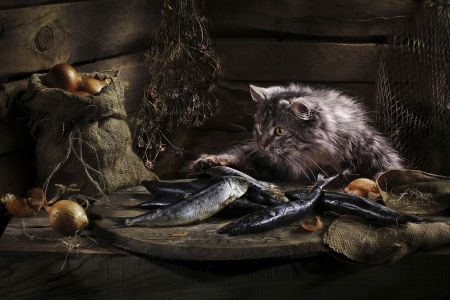 Go fishing... - table, fish, bag, cat, onions