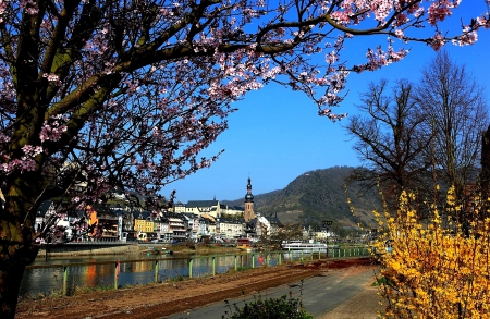 Spring - river, city, flowering, tree, road, spring