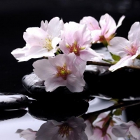 Zen stones