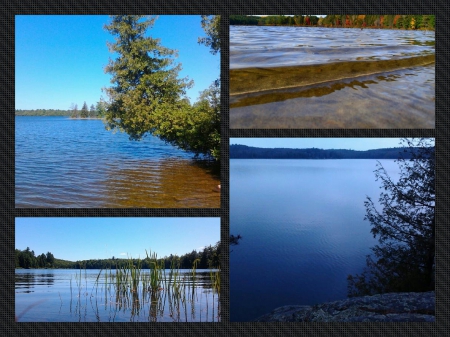 ~~; Ontario Lakes ;~~ - trees, water, lakes, blue