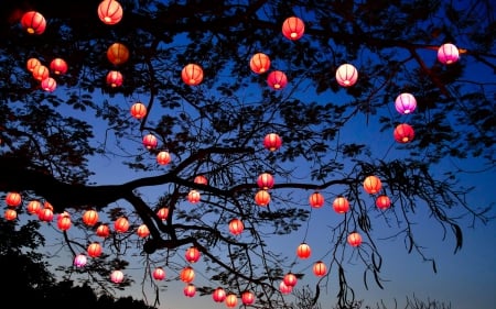 Simply Beautiful - nature, lanterns, splendor, candle, night, light, tree, sky