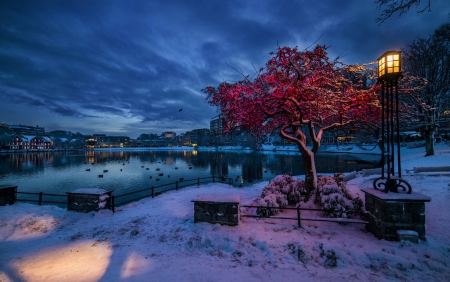 Winter - lake, sky, light, water, winter, nature, lantern, winter time, snow, clouds, splendor, snowy