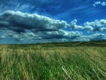 beautiful clouds over vast green fields hdr