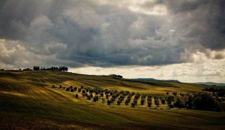 Fields - beautiful, fields, trees, clouds