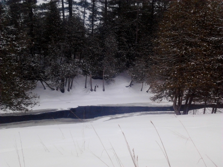 ~~; Eels Creek @ Quarry Lake ;~~ - snow, trees, winter, creek