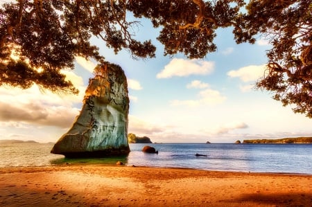 Coromandel Peninsula, New Zealand - beach, rock, coromandel, tree, sea, zealand, new, peninsula