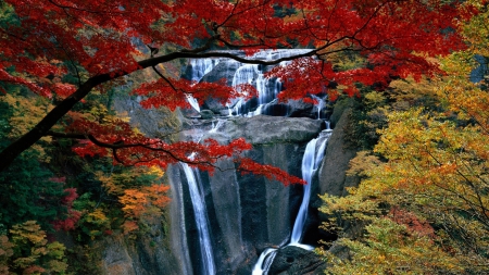 Stunning Waterfalls - waterfalls, yellow, streams, monutain, white, nature, red, green, plants, forces of nature, rocks