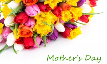 * I love you MOM * - love, colorful, tulips, mother, flowers, colors, spring