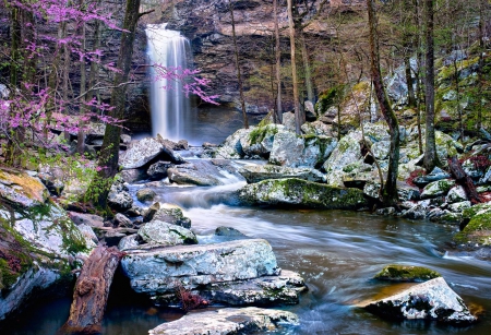 Cedar Falls - fun, nature, cool, river, flowers, waterfall