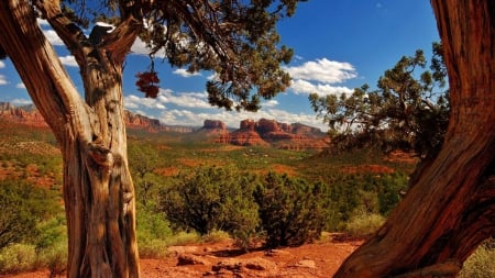 view of desert canyons in sedona arizona - trees, canyons, desert, bushes, sky