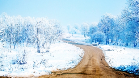 Country Road - trees, winter, road, snow, dirt