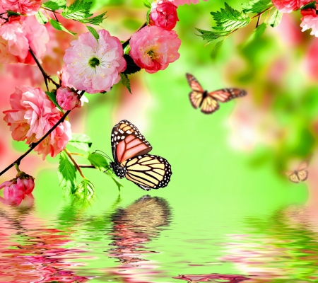 Spring - flowers, revival nature, soft colors, butterflies, spring, reflection