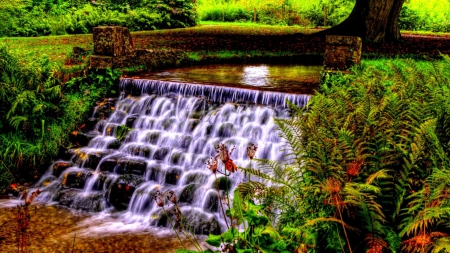 cascading waterfall hdr - waterfall, cascade, creek, hdr, bushes, rocks