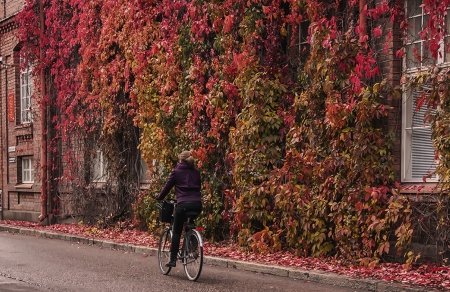 Wall Autumn - wall, house, amazing, autumn