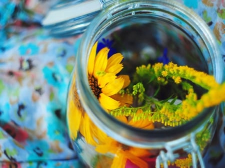 Cup of Spring - jar, flowers, still life, spring