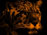 Neon orange Lion