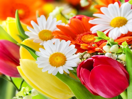 Spring bouquet - pretty, beautiful, spring, lovely, freshness, bouquet, flowers, daisies, colorful, tulips