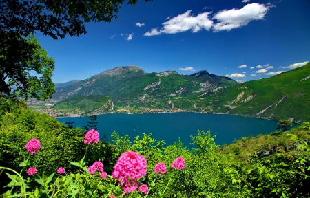 Lovely lake view - lake, sky, mountain, trees, landscape, greenery, summer, nature, view, blue, beautiful, flowers