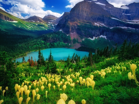 Grinnell lake - summer, USA, landscape, grass, mountain, wioildflowers, flowers, view, lake, sky, greenery, national park, trees, beautiful, slope, lovely, Montana, glacier