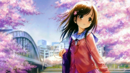 Anime - girl, cartoon, CG, Anime