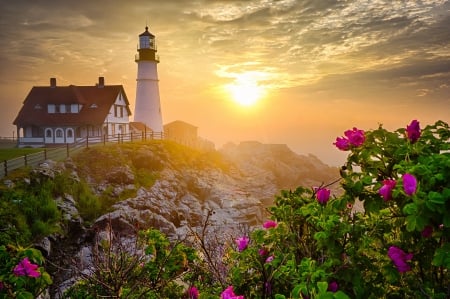 Landscape - lighthouses, popular, landscape, sun, wallpaper, sunset, beautiful, scenery, splendor, architecture, flowers, sunrise