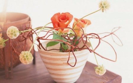 Still life - flowers, pot, still life, rose