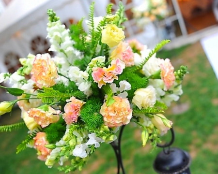 Beautiful flowers - flowers, style, roses, bloom