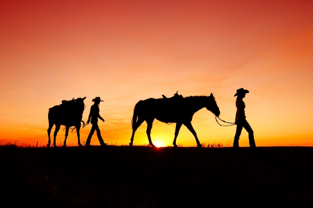 Sunset - cowgirl, sunset, horse, beautiful