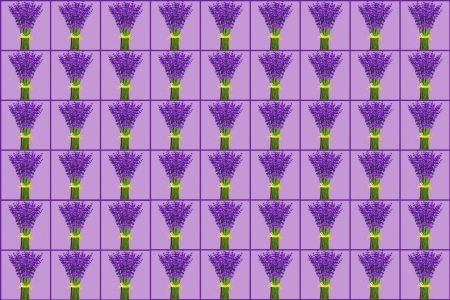 Lavender - flowers, flower, art, Lavender