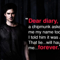 Ian Somerhalder as Damon