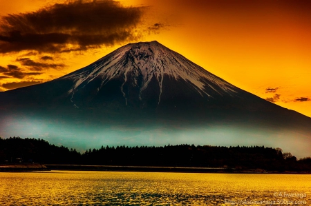 Mount Fuji - lake, forest, cool, fun, nature, mountain